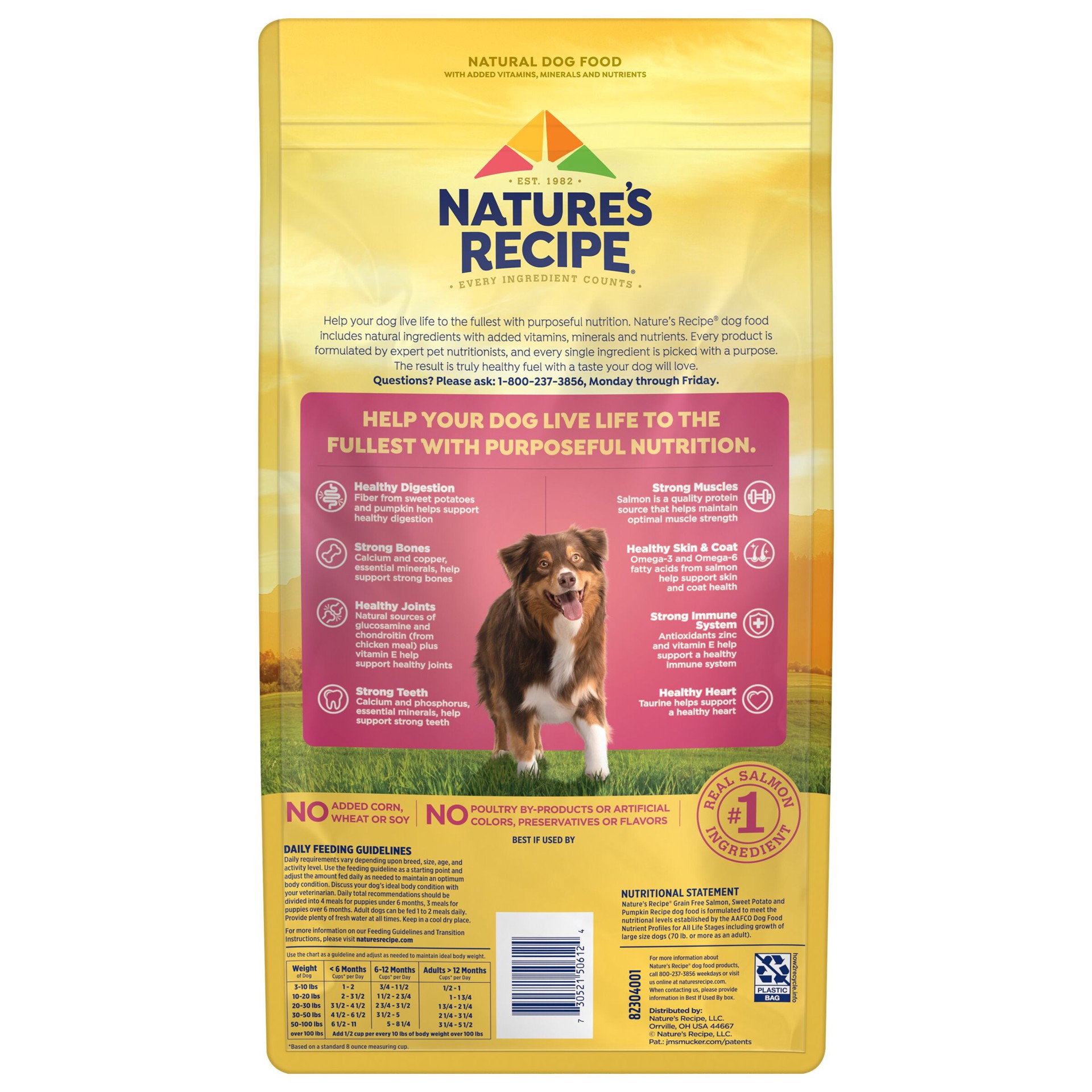 slide 8 of 10, Nature's Recipe Nature′s Recipe Grain Free Salmon, Sweet Potato & Pumpkin Recipe Dry Dog Food, 4 lb. Bag, 4 lb