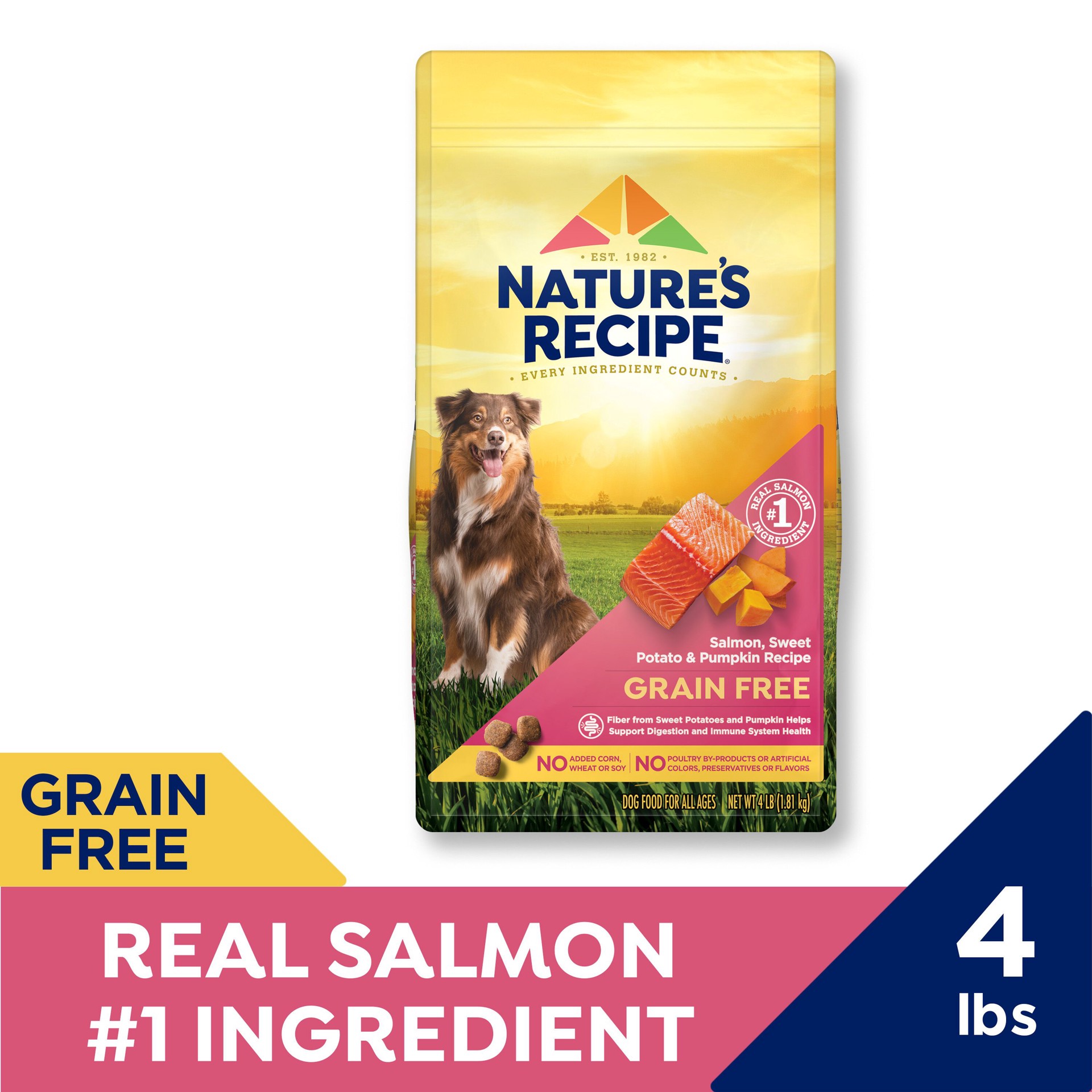 slide 7 of 10, Nature's Recipe Nature′s Recipe Grain Free Salmon, Sweet Potato & Pumpkin Recipe Dry Dog Food, 4 lb. Bag, 4 lb