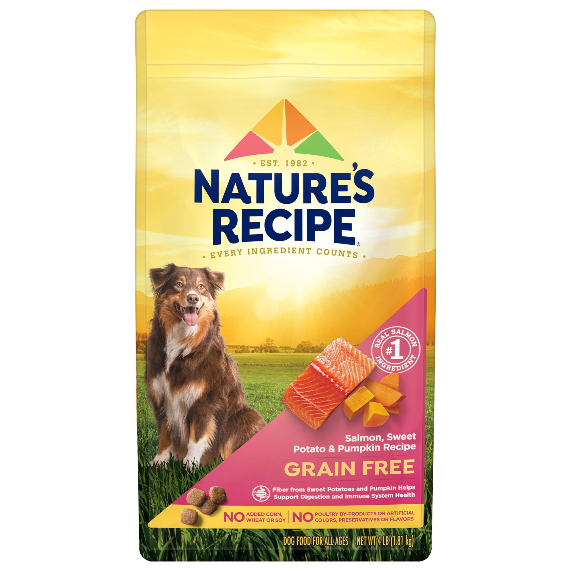 slide 1 of 10, Nature's Recipe Nature′s Recipe Grain Free Salmon, Sweet Potato & Pumpkin Recipe Dry Dog Food, 4 lb. Bag, 4 lb