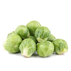 Giant Brussels Sprouts