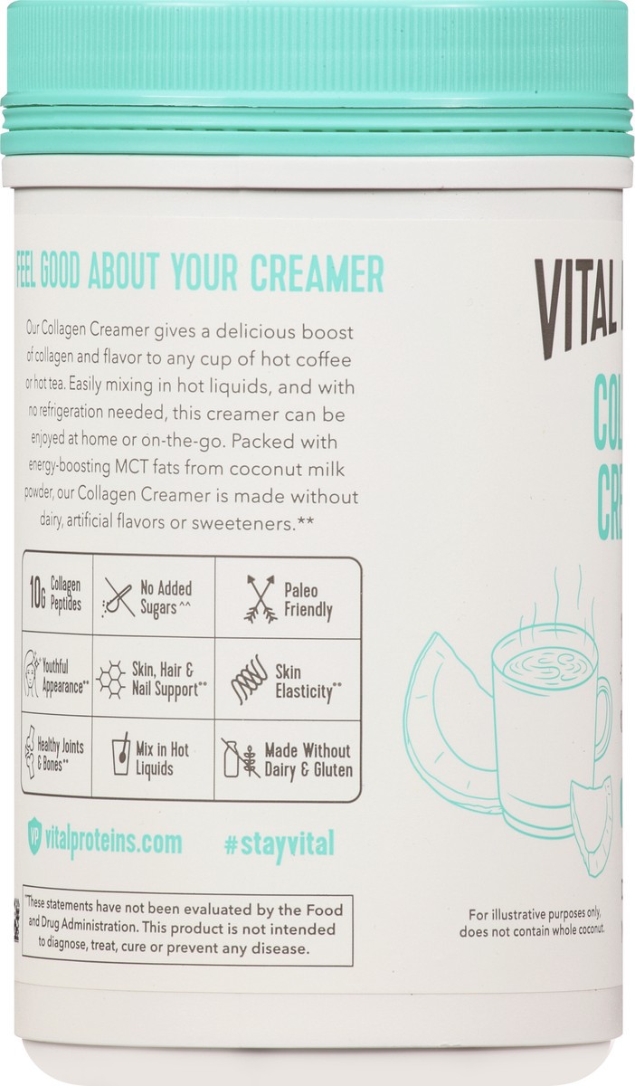 slide 7 of 9, Vital Proteins Coconut Collagen Creamer 10.3 oz, 10.3 oz