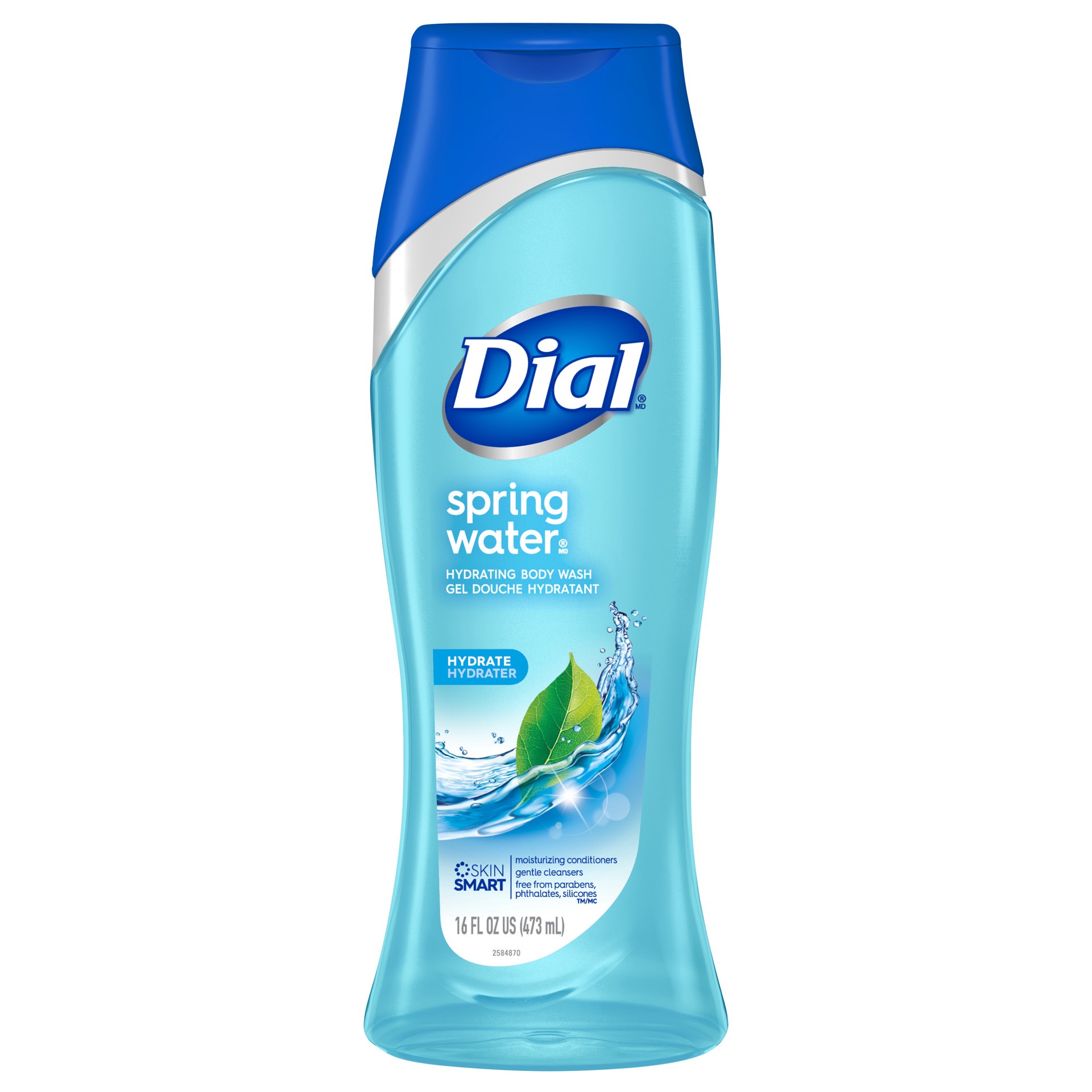 slide 2 of 5, Dial Body Wash, Spring Water, 16 fl oz, 16 fl oz