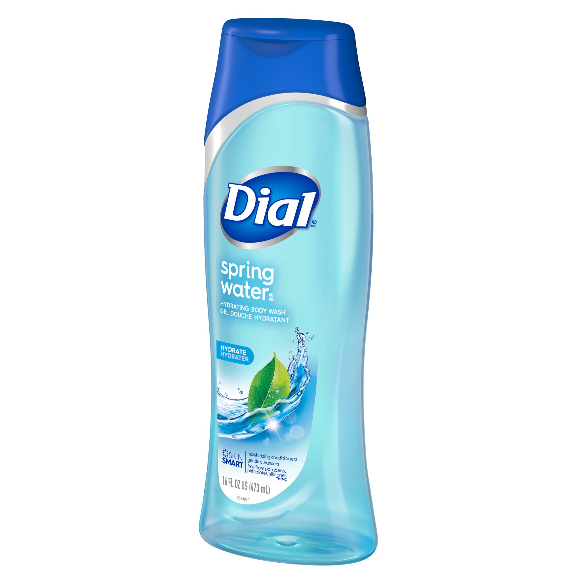 slide 5 of 5, Dial Body Wash, Spring Water, 16 fl oz, 16 fl oz