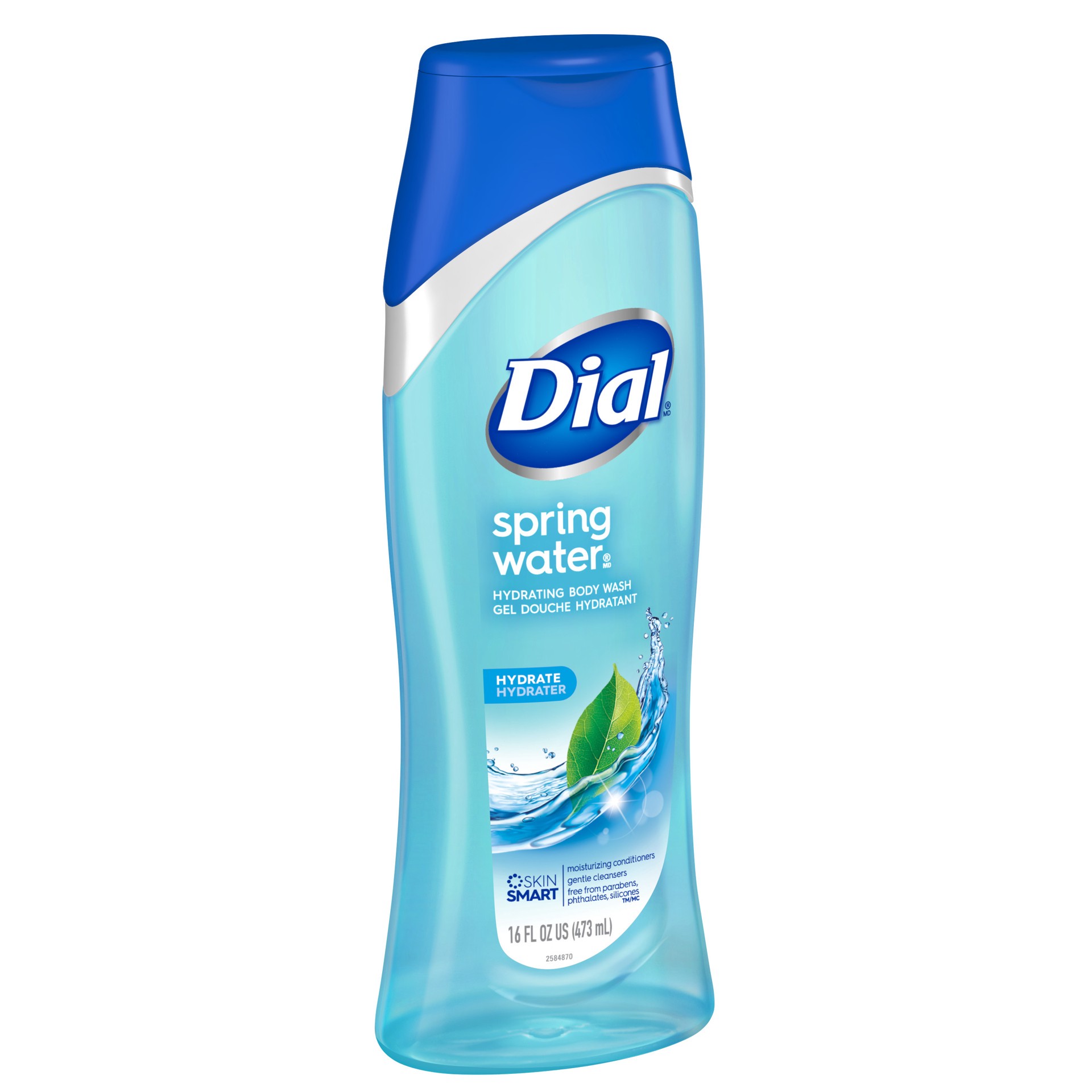 slide 1 of 5, Dial Body Wash, Spring Water, 16 fl oz, 16 fl oz