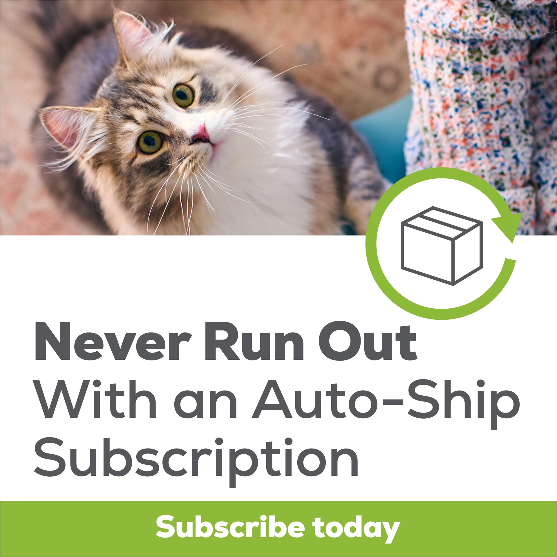 slide 7 of 9, Tidy Cats Breeze Multi-Cat Strength Cat Pads 8 Pads, 8 ct