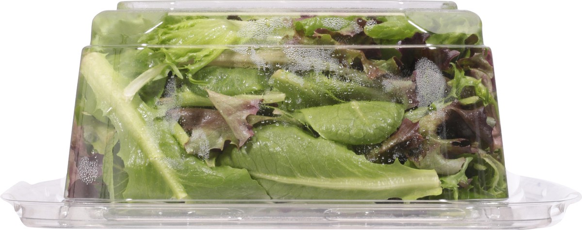 slide 9 of 9, Local Bounti Spring Mix 9.5 oz, 9.5 oz