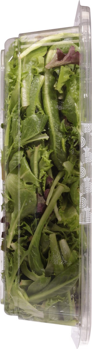 slide 2 of 9, Local Bounti Spring Mix 9.5 oz, 9.5 oz