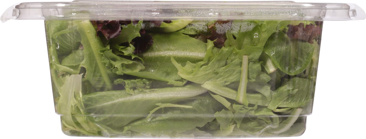 slide 7 of 9, Local Bounti Spring Mix 9.5 oz, 9.5 oz