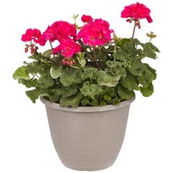 11.0 Premium Patio Planter
