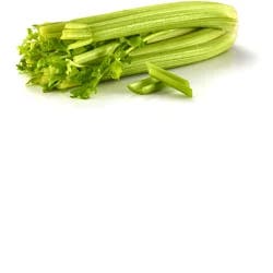 Organic Celery