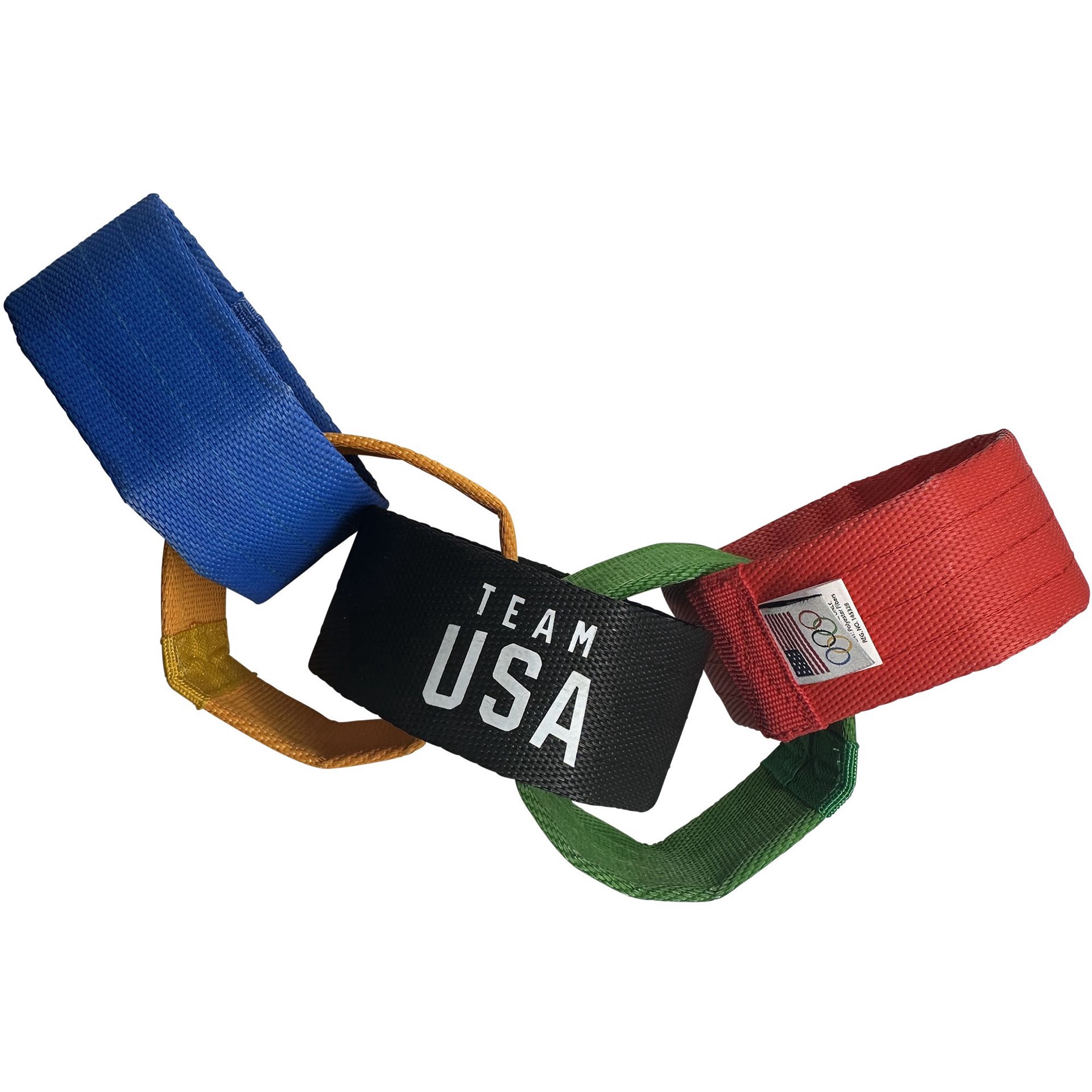 slide 1 of 1, GMason Team USA Olympic Rings, 1 ct