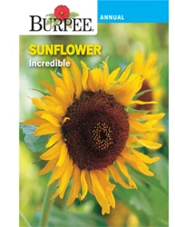 Burpee Incredible Sunflower Seeds