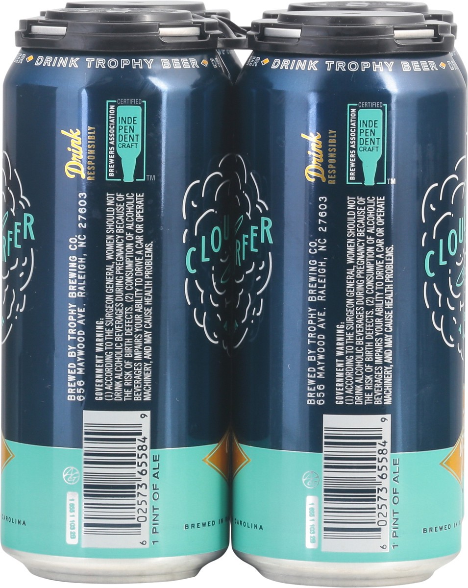 slide 5 of 11, Trophy Brewing Co. Cloud Surfer Mondern Ipa, 4 ct; 16 oz