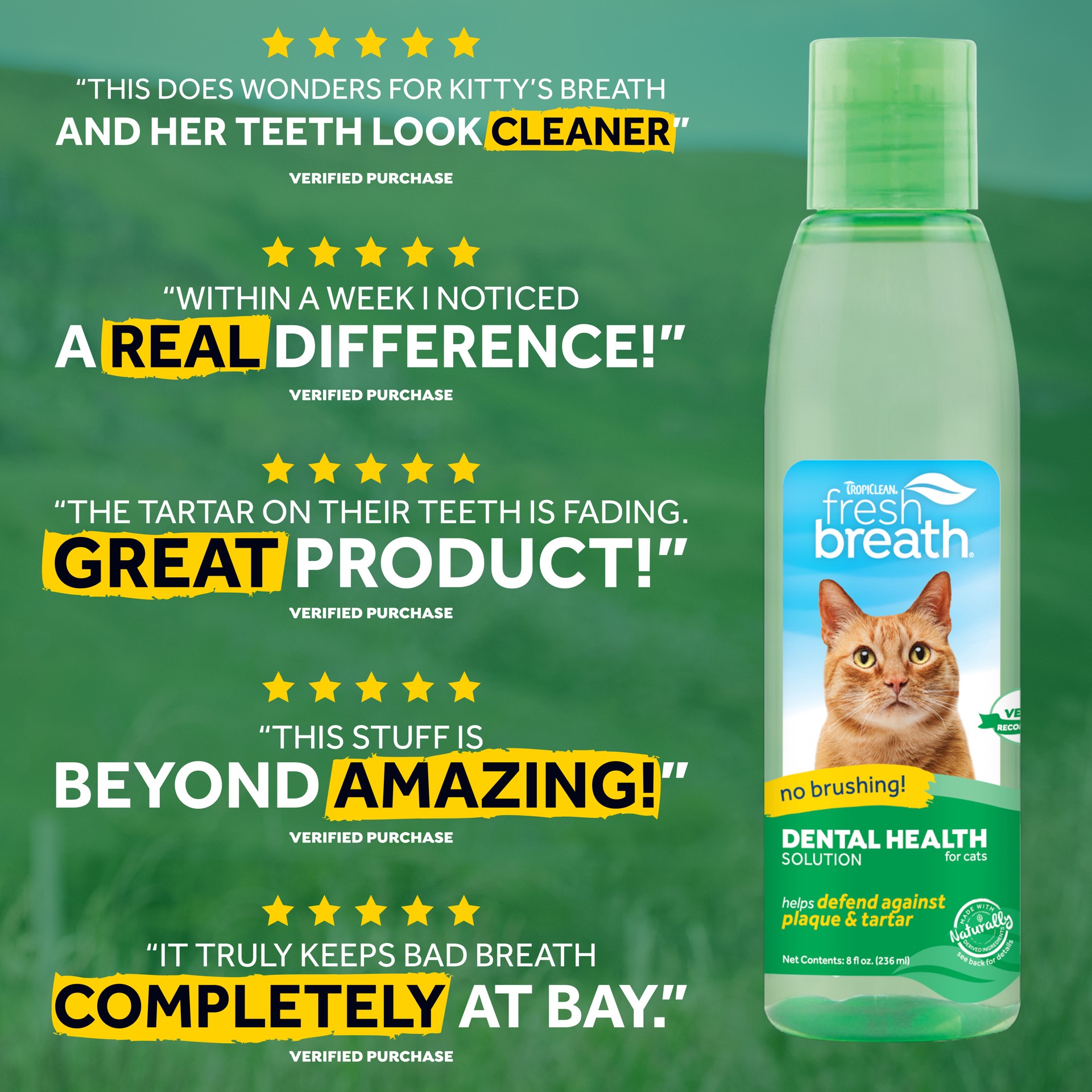 slide 6 of 9, TropiClean Fresh Breath Dental Health Solution for Cats, 8oz, 8 oz