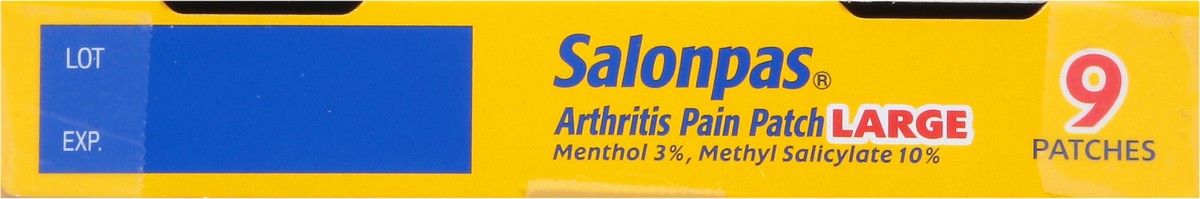 slide 6 of 9, Salonpas Hisamitsu Minty Scent Arthritis Pain Patch Large 9 ea, 9 ct