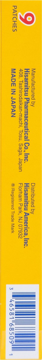 slide 2 of 9, Salonpas Hisamitsu Minty Scent Arthritis Pain Patch Large 9 ea, 9 ct