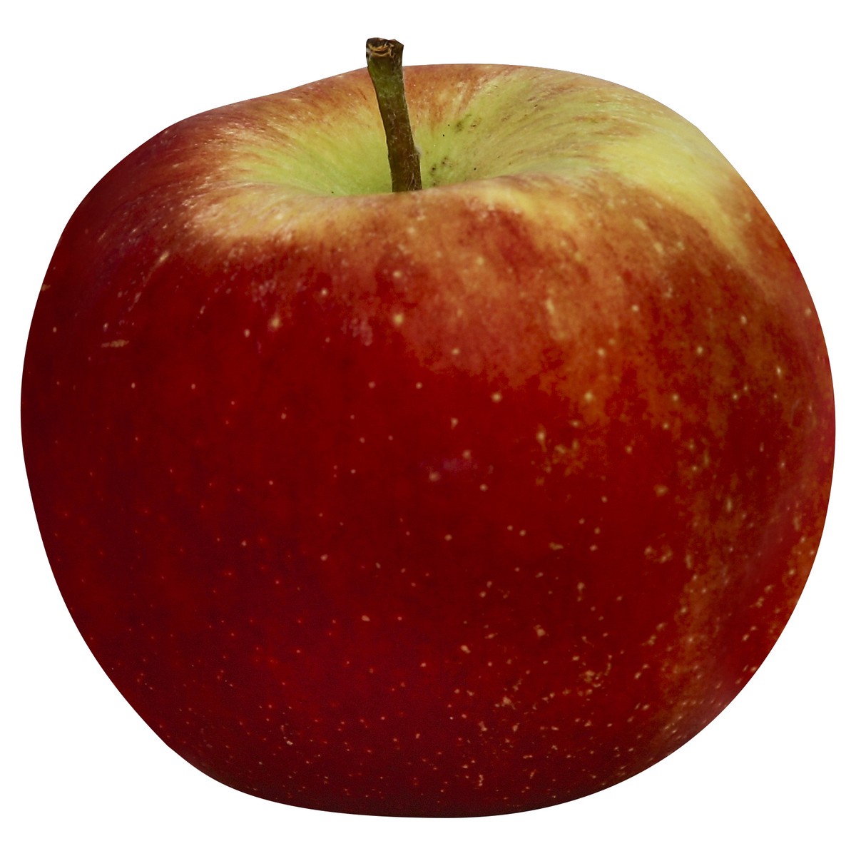 slide 2 of 3, Packer Hedge Balls 50Ct Ra, 1 ct