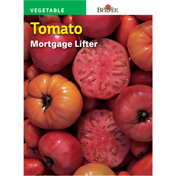 slide 1 of 1, Burpee Heirloom Tomato Mortgage Lifter Seeds, 1 ct