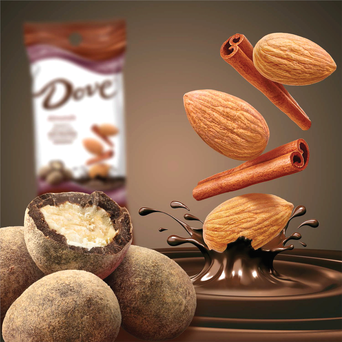 slide 2 of 2, Dove Almonds Dipped In Dark Chocolate And Dusted With Cinnamon, 1.6 oz