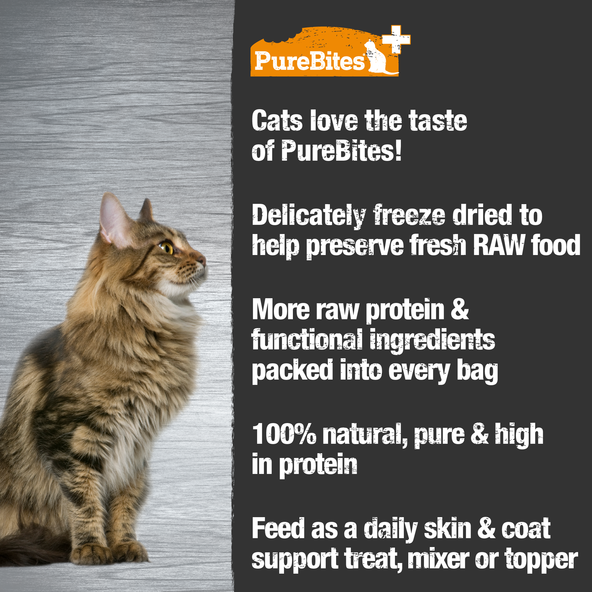 slide 3 of 5, PureBites+ Freeze Dried Cat Treats 1.09oz | Skin & Coat | 5 Ingredients | Made in USA, 31 g