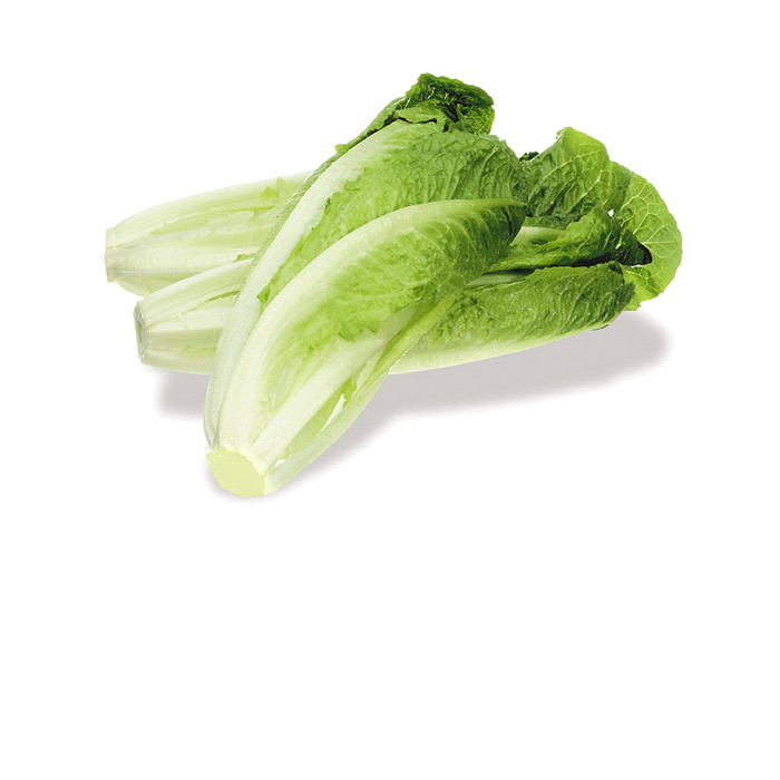 slide 1 of 3, Organic Girl Organic Romaine Leaf Salad, 7 oz