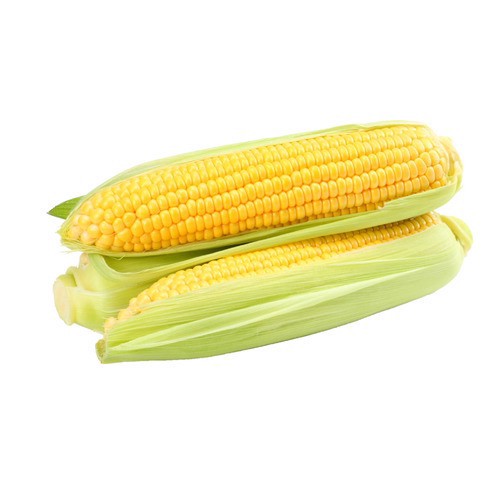 slide 1 of 1, Corn On The Cob, 1 ct
