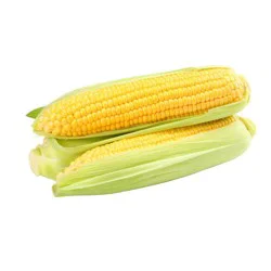Corn On The Cob