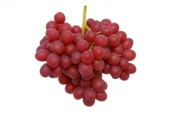ALPO Red Seedless Grapes