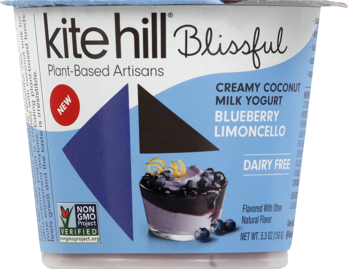 slide 2 of 13, Kite Hill Creamy Coconut Milk Blueberry Limoncello Yogurt 5.3 oz, 5.3 oz