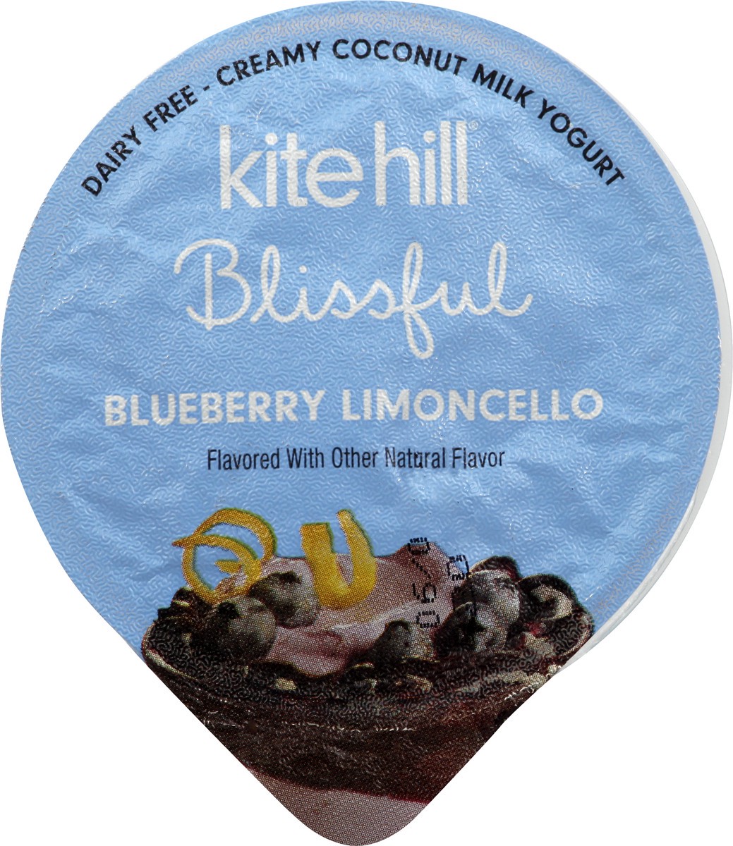 slide 8 of 13, Kite Hill Creamy Coconut Milk Blueberry Limoncello Yogurt 5.3 oz, 5.3 oz