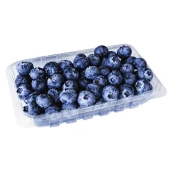 Jumbo Blueberries