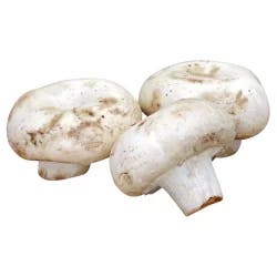 OTHER-REGIONAL White Mushrooms