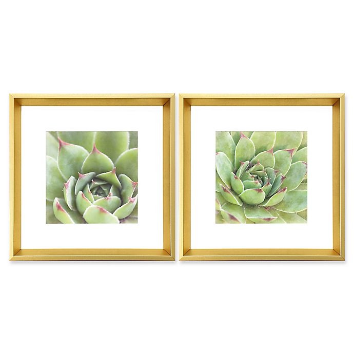 slide 1 of 1, StyleCraft Garden Succulents IV Framed Wall Art, 2 ct