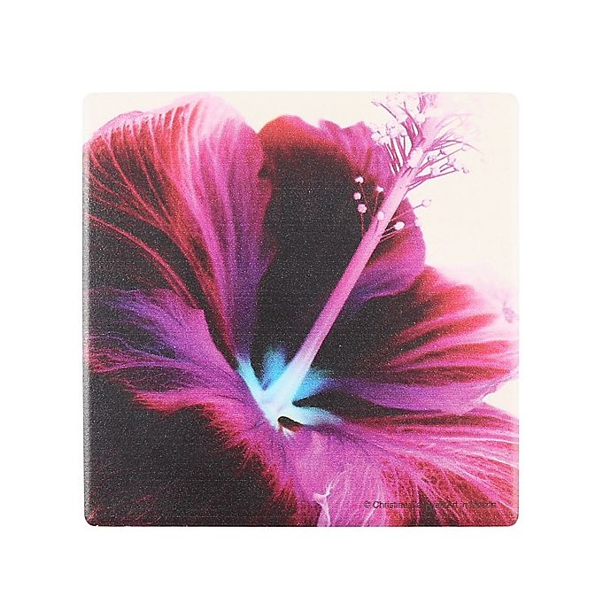 slide 1 of 1, Thirstystone Occasions Pink Hibiscus Square Coaster, 1 ct