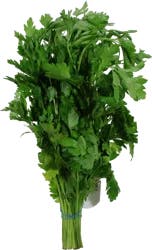 Parsley Italian