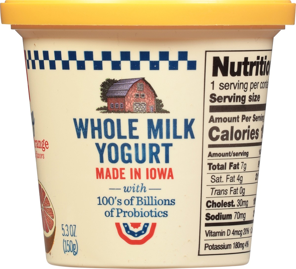 slide 2 of 12, AE Dairy Anderson Erickson Cara Cara Orange Whole Milk Yogurt, 5.3 oz