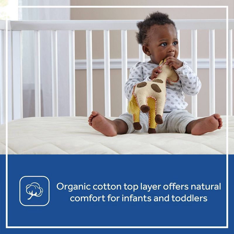 slide 3 of 8, Sealy Quilted Crib Mattress Pad with Allergy Protection Organic Cotton Top, 1 ct