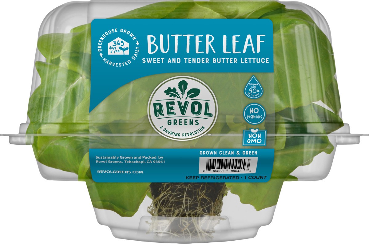 slide 2 of 2, Revol Greens Butter Lettuce, 