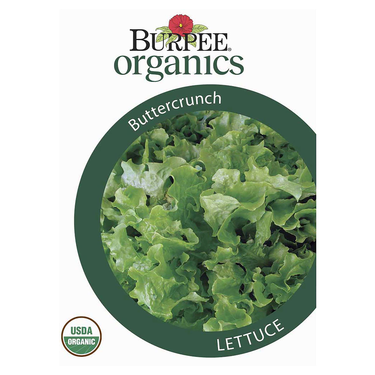 slide 1 of 5, Burpee Organic Lettuce Head Buttercrunch Seeds, 1 ct