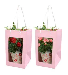 Mini Rose in Gift Bag, 4-inch pot