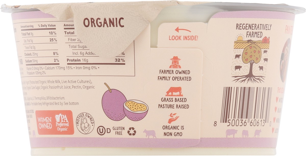 slide 13 of 15, Painterland Sisters Organic Skyr Passion Fruit Yogurt 5.3 oz, 5.3 oz