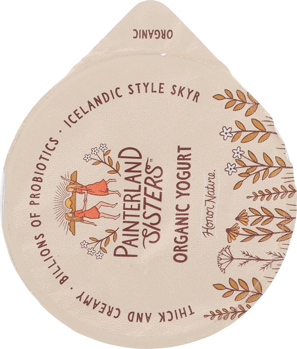 slide 10 of 15, Painterland Sisters Organic Skyr Passion Fruit Yogurt 5.3 oz, 5.3 oz
