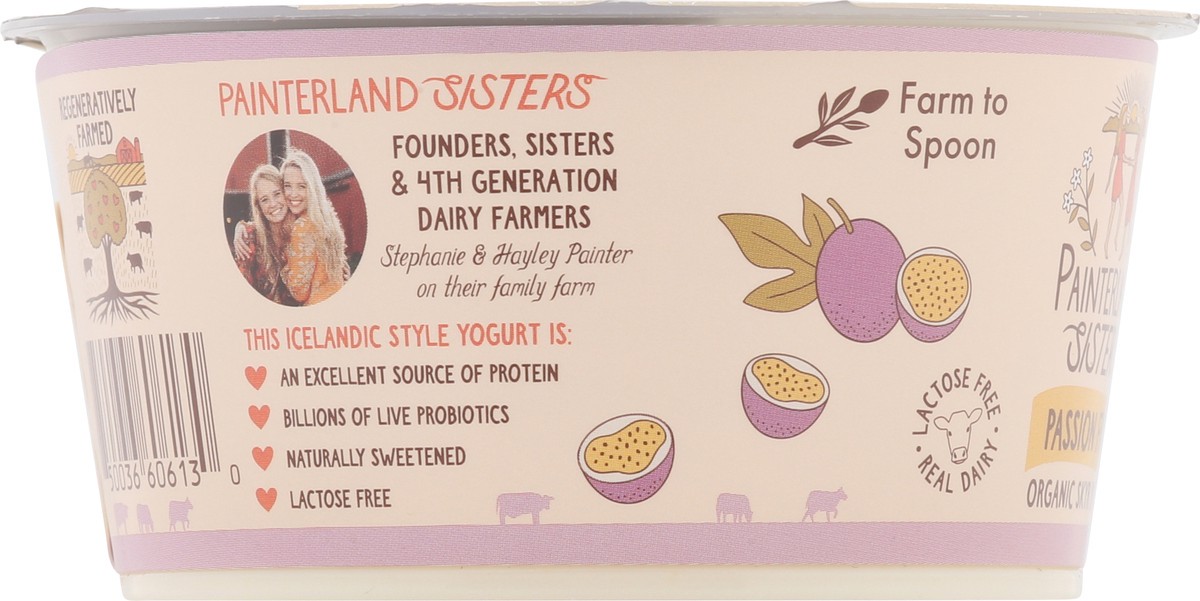 slide 2 of 15, Painterland Sisters Organic Skyr Passion Fruit Yogurt 5.3 oz, 5.3 oz