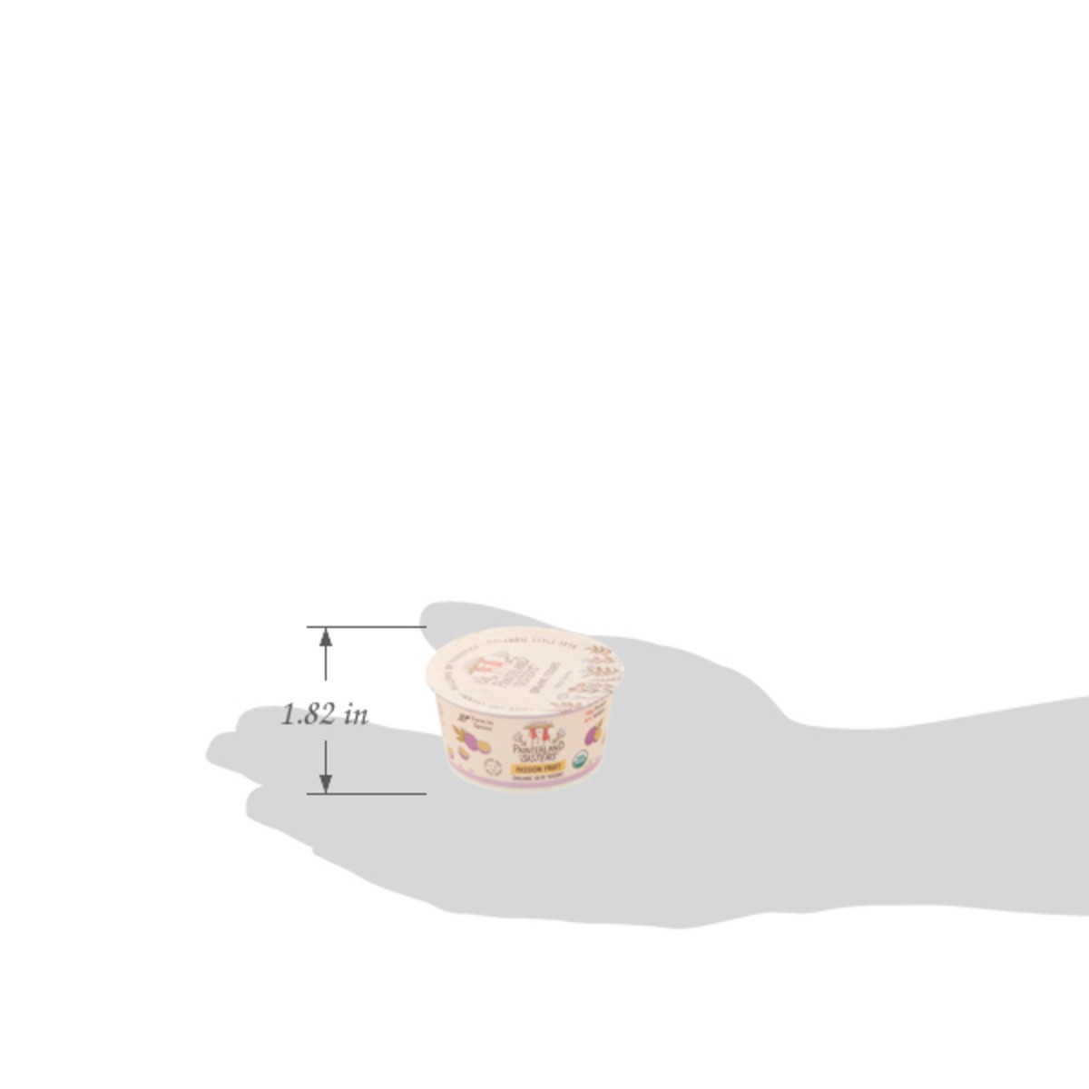 slide 5 of 15, Painterland Sisters Organic Skyr Passion Fruit Yogurt 5.3 oz, 5.3 oz