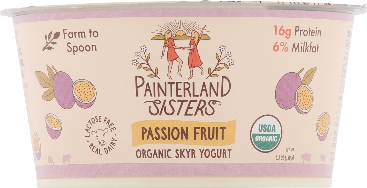 slide 9 of 15, Painterland Sisters Organic Skyr Passion Fruit Yogurt 5.3 oz, 5.3 oz
