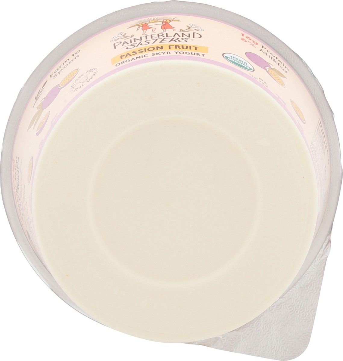 slide 3 of 15, Painterland Sisters Organic Skyr Passion Fruit Yogurt 5.3 oz, 5.3 oz