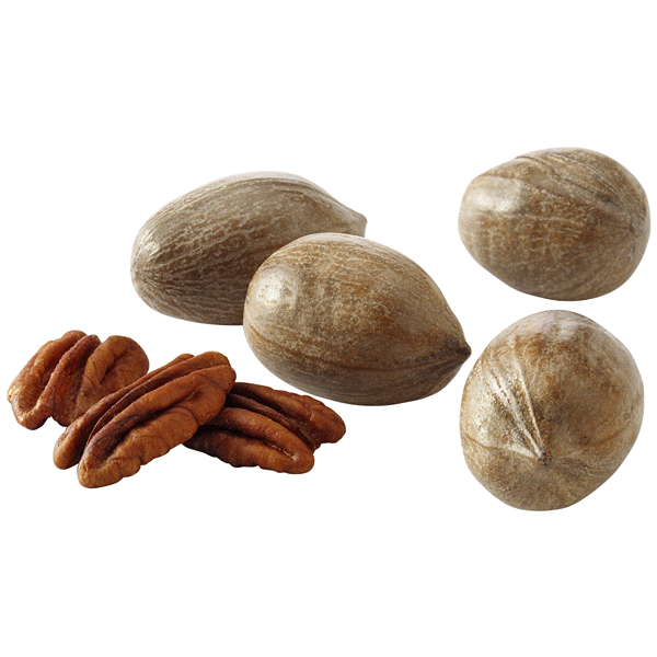 slide 1 of 1, Pecans In Shell, per lb