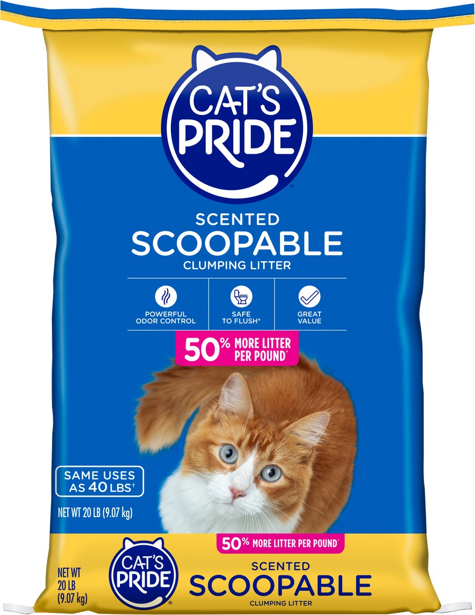 slide 4 of 12, Cat's Pride Scoopable Scented Clumping Litter 20 lbs. Bag, 20 lb