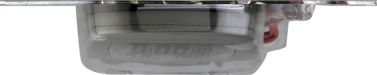 slide 5 of 8, Taylor Digital Probe Thermometer 1 ea, 1 ct