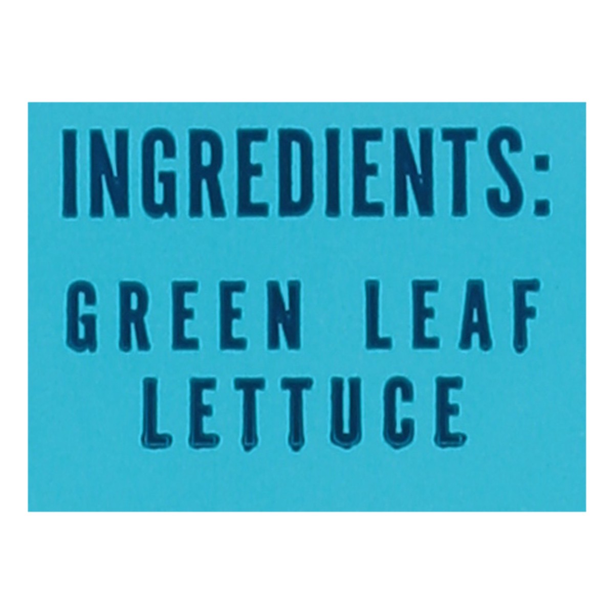slide 9 of 10, Little Leaf Farms Green Leaf Baby Crispy Lettuce 8 oz, 8 oz